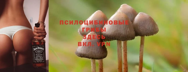 ECSTASY Арсеньев