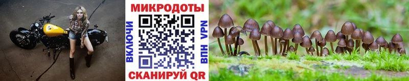 Галлюциногенные грибы прущие грибы  Старый Крым 