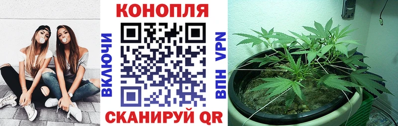 Канабис планчик  Старый Крым 